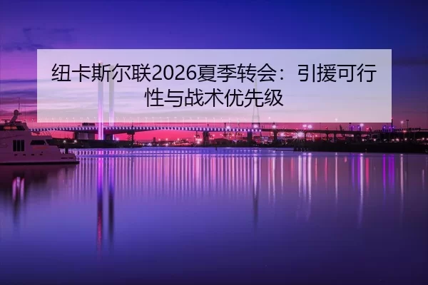 纽卡斯尔联2026夏季转会：引援可行性与战术优先级